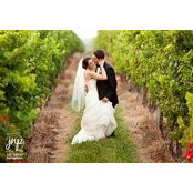 Adam Cohn's photo