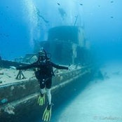 Lindsay Maxwell's photo