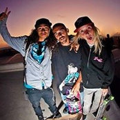 Sam Steins foto