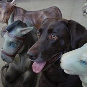 Kevin Birch's photo