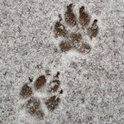Lynn Fast's photo