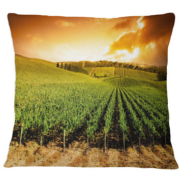 Sunset Vineyard Panorama Landscape Printed Throw Pillow, 16"x16"