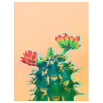 Ready2HangArt 'Color Me Cactus' Wrapped Canvas Succulent Wall Art, 16"x12"