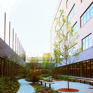 QUEENS NY - PUBLIC SCHOOL 315