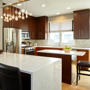South Loop Town Home