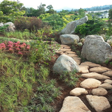 Japanese Garden in Central America