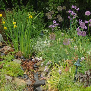 Landscape Design