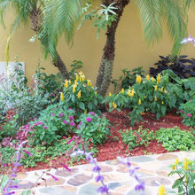 Exterior Ideas