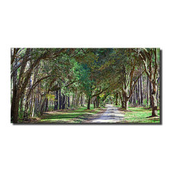 Ready2HangArt - "Curious Corridor" Canvas Art By Bruce Bain, 12"x24" - Prints And Posters