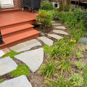 American University Park Rear Garden