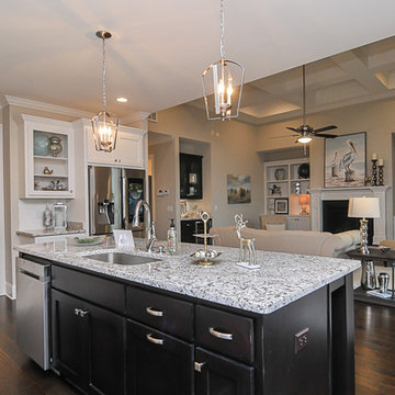 Augusta III Plan in Maintenance Free Community