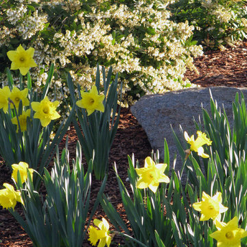 Planter & Container Garden Design - Fairfield County, CT