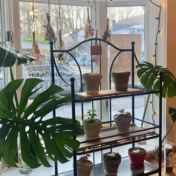moss pots and monstera at Kahlo