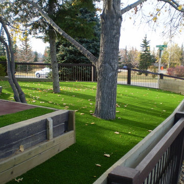 Commercial Yards