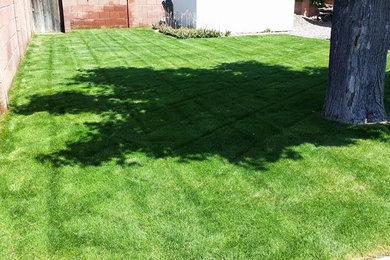 Photo of a mid-sized traditional backyard landscaping in Phoenix.