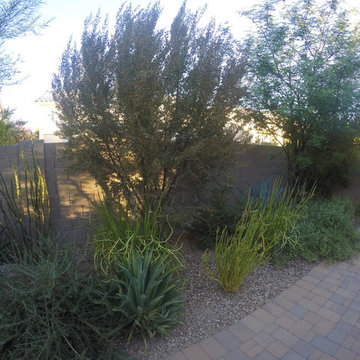 Plantings - 4 years