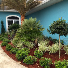 Front yard