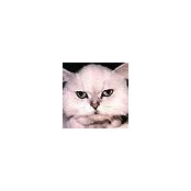 呂碧華's photo