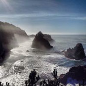 Judi Ingram's photo
