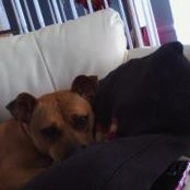 Foto von Paula Hendricks