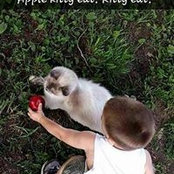 Kelly Laughlin's photo