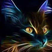 Roseanne Porter's photo