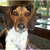 Foto von Carol Brumfield