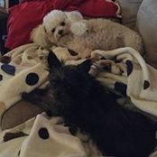 Carla Crawley's photo