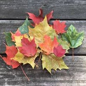 Sara Contreras's photo