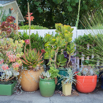 My Houzz: A Travel-Inspired Tropical Oasis in California