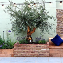 Side garden