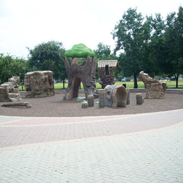 Climbing Trees and Rock Playground