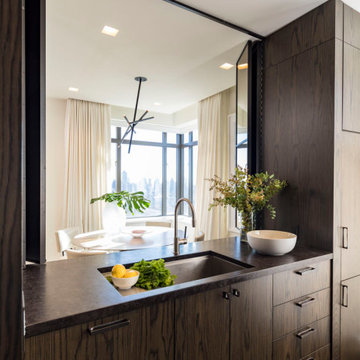 Central Park Penthouse