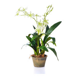 Industrial Garden 13175 24" Odontoglossum Plant in Terracotta Pot - Artificial Plants And Trees