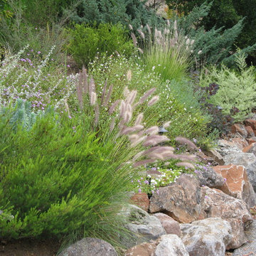 Border Planting