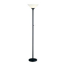 Floor Lamps