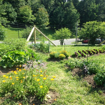 Vegetable Gardens