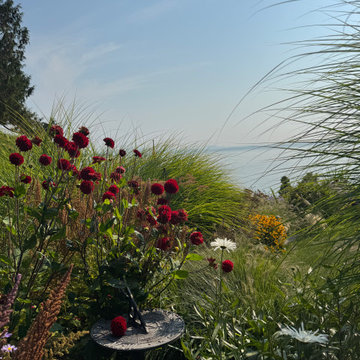 Ocean view Marine Dr.