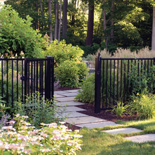 FENCE