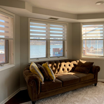 Springblinds Premium Zebra Dual Sheer Shades