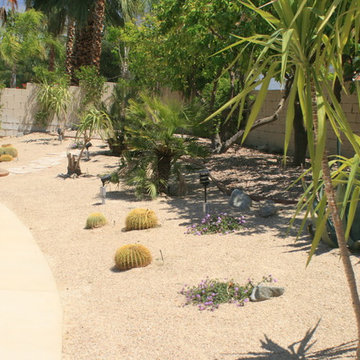Natural Desert-Scape