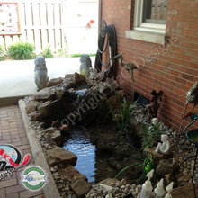 Ponds, Sandpits,cats