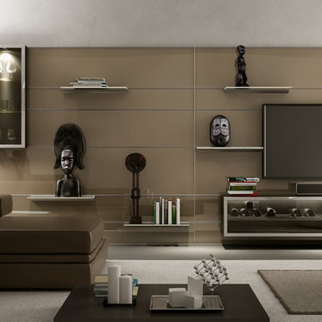 Aluminum Shelving and Wall Modern Living