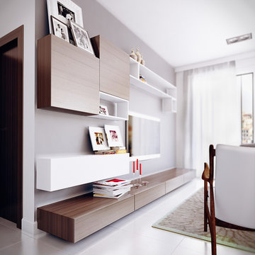 Wall Units - Media Centers - Floating Shelving - Bookcases