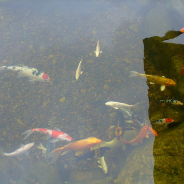 water feature