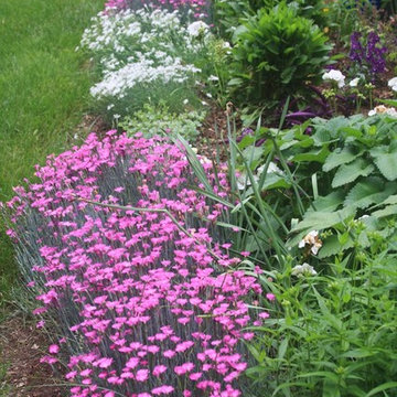 Colorful Back Yard