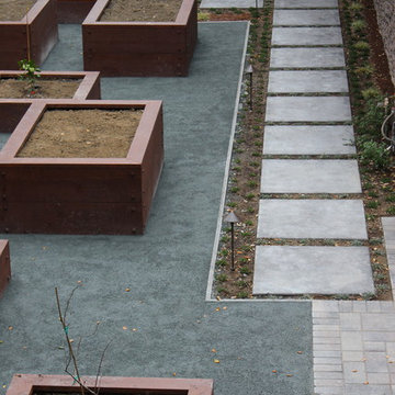 Veggie Beds
