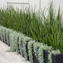 Garden beds