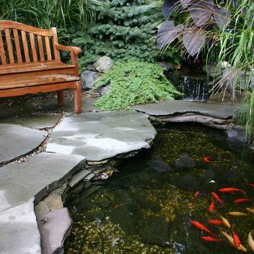 Backyard Retreat