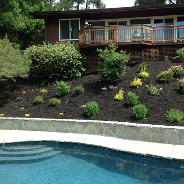 Lafayette Hillside Renovation